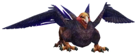Griffin