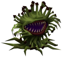 Malboro