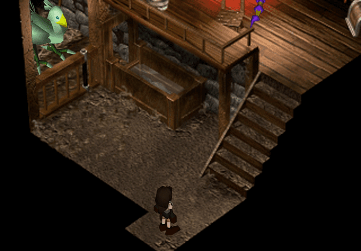 Entrance to the Chocobo Sage’s House