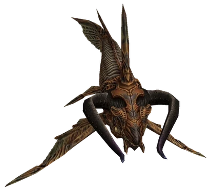 Dinictus