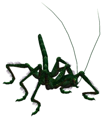 Insect Matriarch