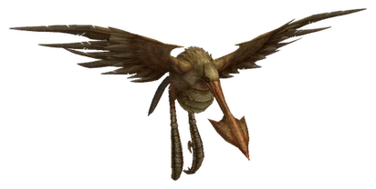 Peregrine