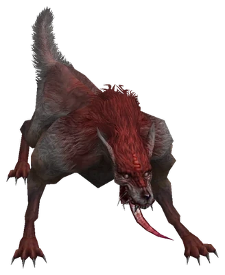 Wild Wolf