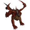 Elder Drake