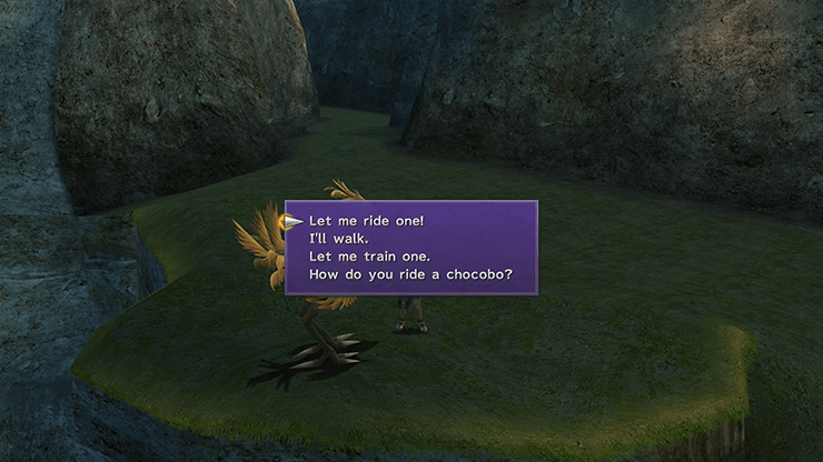 Tidus requesting a Chocobo from the Chocobo Trainer