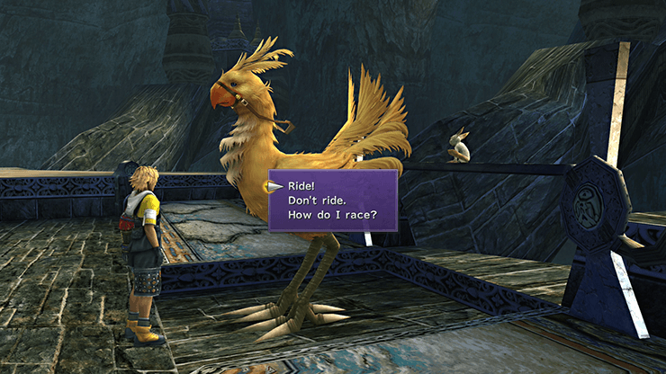 The Chocobo that you can ride in Remiem Temple