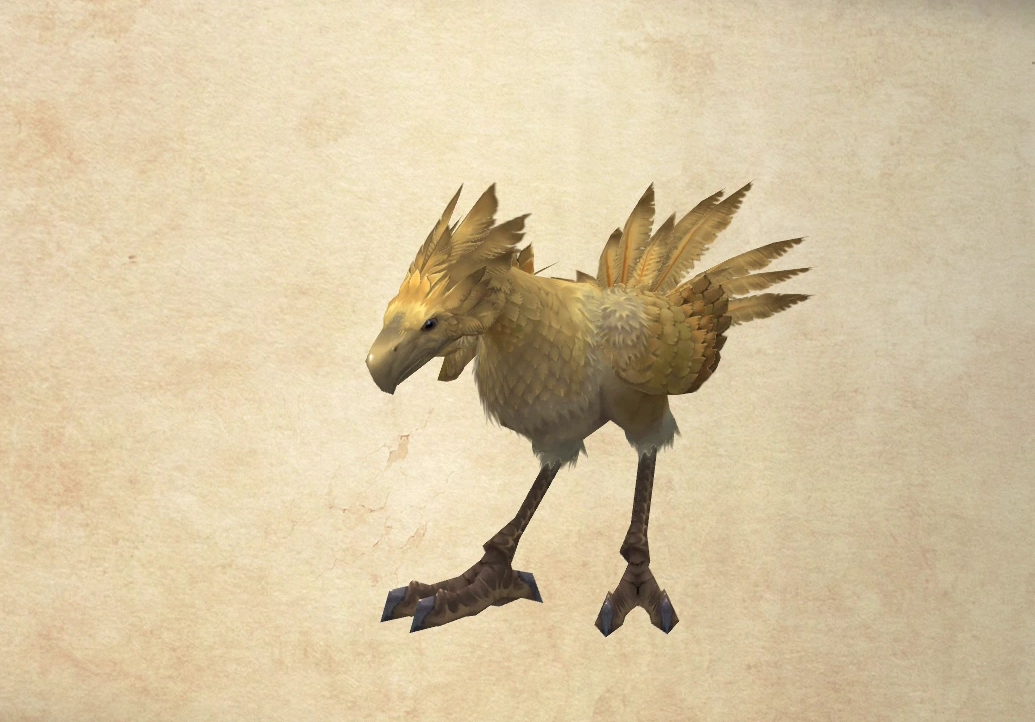 Chocobo