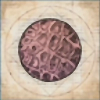 Key Item image for Aevis Skin