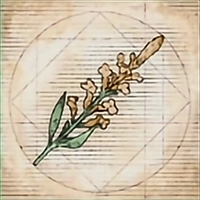 Key Item image for Saint’s Bonnet
