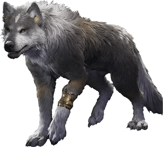 Portrait of Torgal taken from the Appearance section of the Arete Stone in the Hideaway