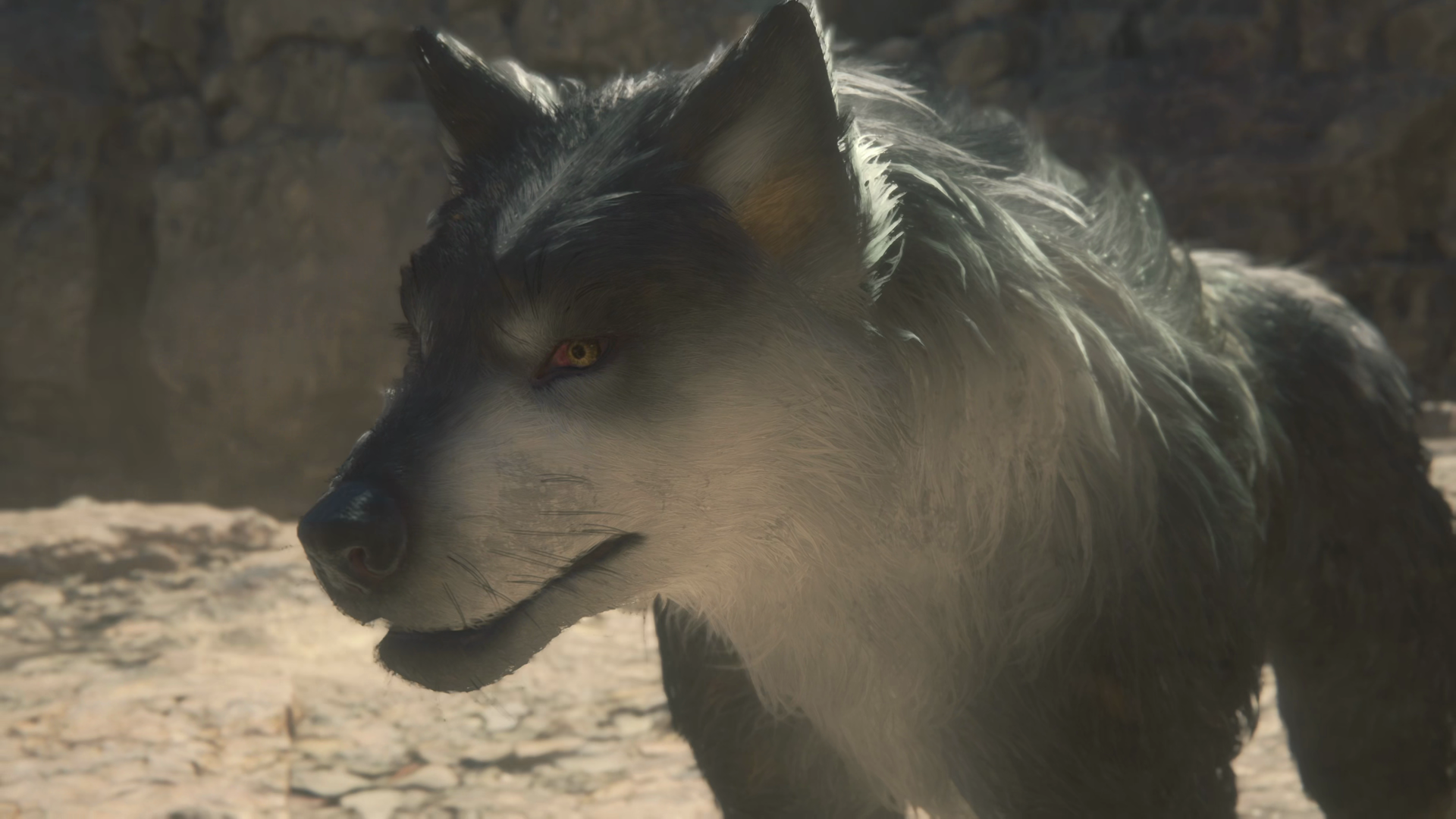 Close-up of Torgal during the first interaction in the A Chance Encounter Main Scenario Quest