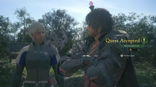 Accepting the Uninvited Guest Optional Quest from Jamila in Haven