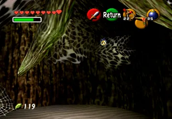 Gold Skulltula token inside the hidden cave